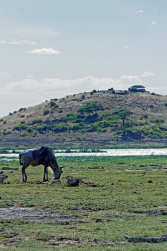 Kenia (244)